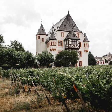 Schloss Schoenborn Geisenheim Eksteriør billede