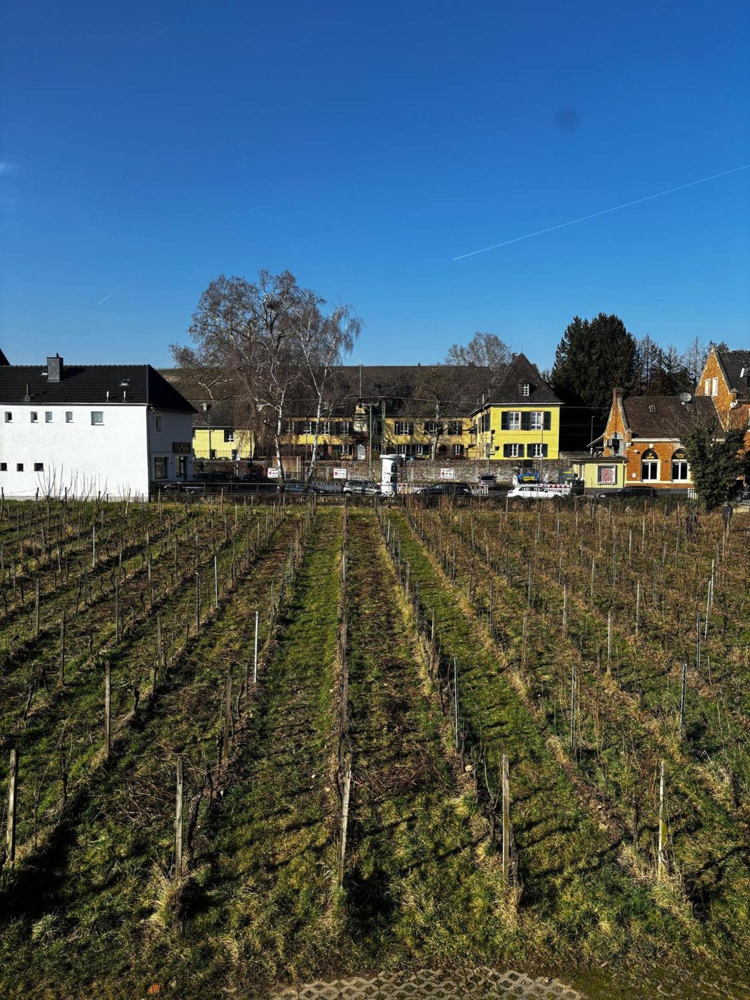 Schloss Schoenborn Geisenheim Eksteriør billede