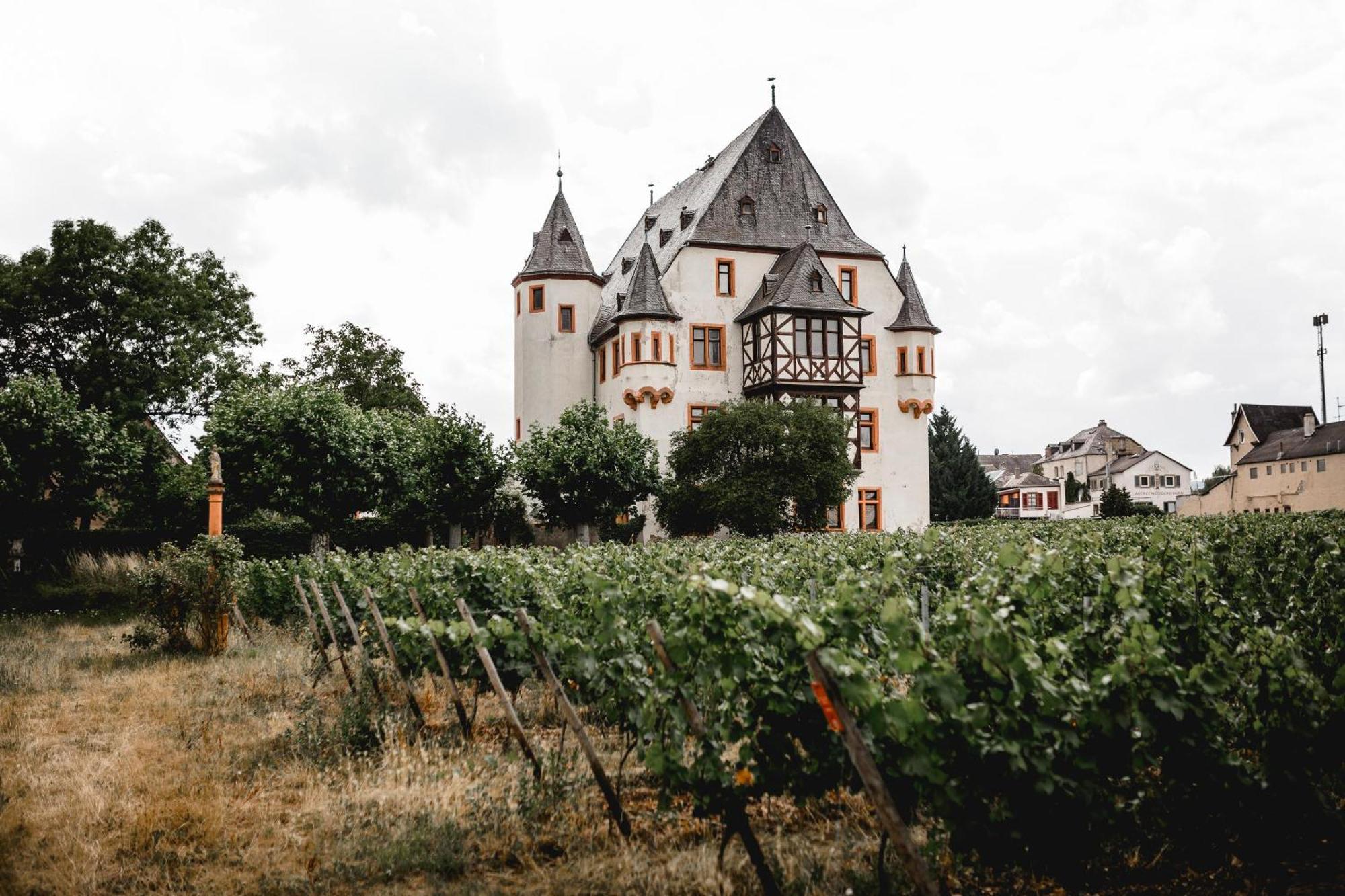 Schloss Schoenborn Geisenheim Eksteriør billede
