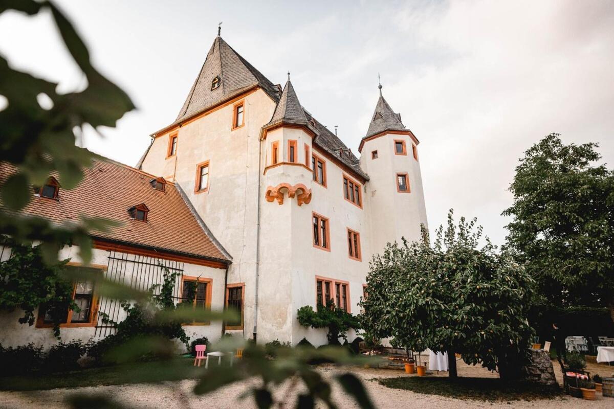 Schloss Schoenborn Geisenheim Eksteriør billede